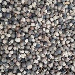 蔓荆子选货 干净无杂质 颗粒饱满 产地直销图2