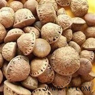 小丽百草行壮阳果 风流果 罗汉果 龟头子 统 产地直销 浙江省宁波图2