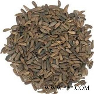 大力子 甘肃产27；东北产30图2