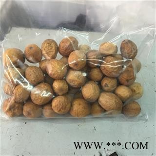 川楝子 2020统货  产地 四川省凉山彝族自治州西昌市图2