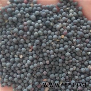 王不留 王不留行统货 产地 河北省图2