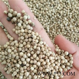 白胡椒 国产白胡椒 产地 海南省图2