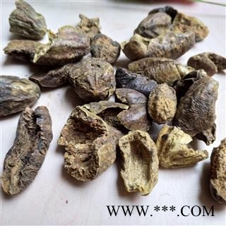 诃子 诃子肉 产地 云南省图1