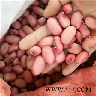 刀豆 红刀豆 选货 产地 安徽省图2