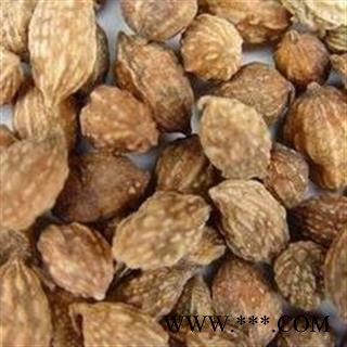 益智仁 益智选货大货批发价 产地 广西壮族自治区图2