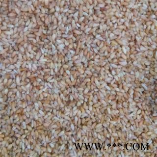 柏子仁1000克促销批发 柏子仁精选货 产地 山东省东营市垦利县 大货批发价图2