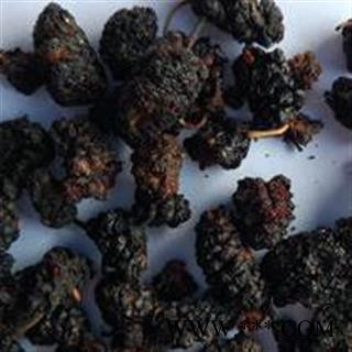 桑葚子净货 质量好 价格低图2