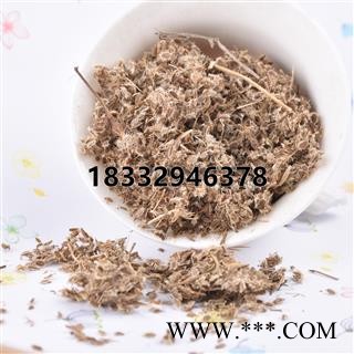 小丽百草行鹤虱 北鹤虱 无污染图3