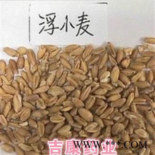 中药材浮小麦 大货  干净图2