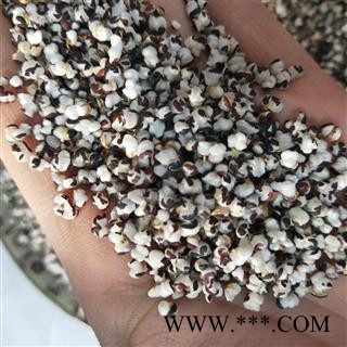 王不留行 河北王不留行选货 产地 河北省图3