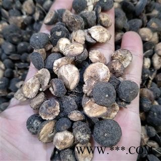 鹅眼枳实 江西鹅眼枳实对半 产地 江西省图3