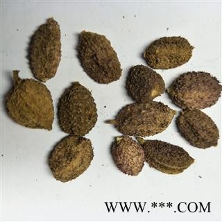 砂仁 阳春壳砂仁炕干选货 产地 广东省图3