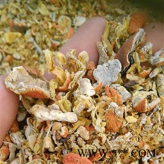 陈皮 片1000克促销批发陈皮颗粒 产地 浙江省图2