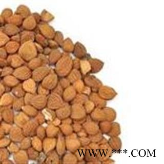 杏仁 1000克促销批发价苦杏仁选货 产地 山西省 大货批发价图2