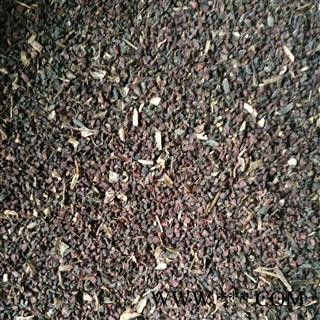 月见草籽 统 产地 吉林省图2