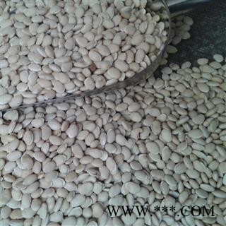 白扁豆 云南白扁豆选货 产地 云南省图2