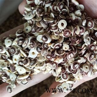 莲子 莲子冒 莲子尖  产地 山东省图2