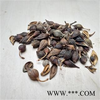 连翘 青翘水煮（汽蒸）选货 产地 山西省图2