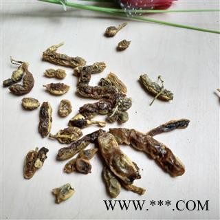 槐角 槐角选货 产地 山东省图2