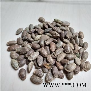 瓜蒌仁 双边瓜蒌子选货 产地 江苏省图2
