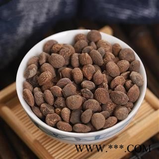 蕤仁、蕤核、蕤子、棫仁、美仁子 中药材图2