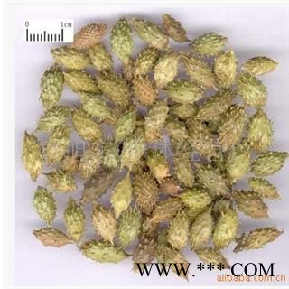 苍耳子 苍耳子中期黄绿色统货 产地 内蒙古自治区图2