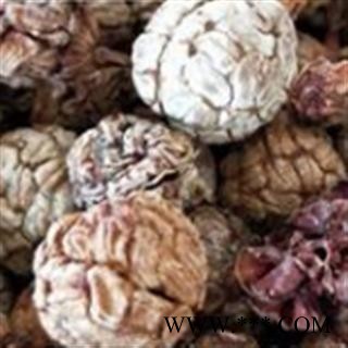 草豆蔻 云南草豆蔻统货 产地 云南省图4