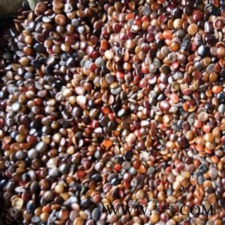 枳椇子 枳椇子净货 产地 湖北省图3