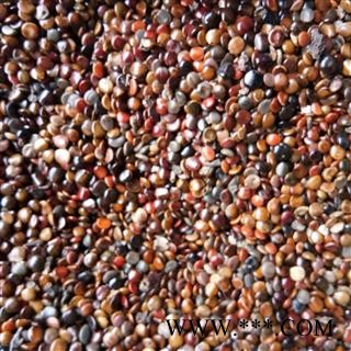 枳椇子 枳椇子净货 产地 湖北省图2