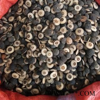 枳实 鹅眼枳实 湖南鹅眼枳实 产地 湖南省图2