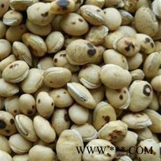 白扁豆 正品炒白扁豆 国药堂 专注品质 选 产地 海外图2