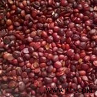 枣仁 饱满 国产酸枣仁95货  正品国产枣仁  质量好 假一赔十产地 山东省图2