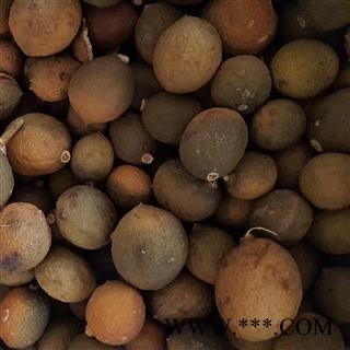 小丽百草行屈头鸡 树屈头鸡 果实统货图4