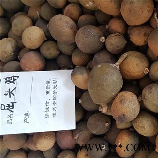 小丽百草行屈头鸡 树屈头鸡 果实统货