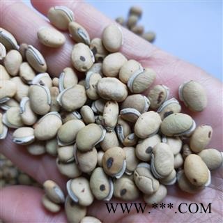 白扁豆 本店新到国产正品带边炒白扁豆 产地 云南省图3