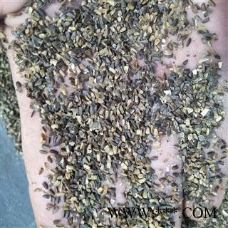 茺蔚子 产地直销茺蔚子过筛货，干净无杂 产地 山东省图2