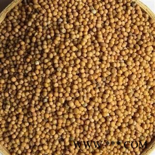 正品选装白芥子净货假一赔十 新货 无虫蛀 无霉变 产地直销图2