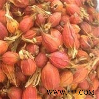 栀子 精选江西红栀子小选个 真正好货 药效显著 产地 江西省图2