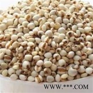 正品薏米 小粒薏苡仁国产薏苡仁选货98米 产地直销图2