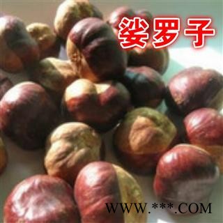 小丽百草行新货中药材娑罗子新货颜色好图2