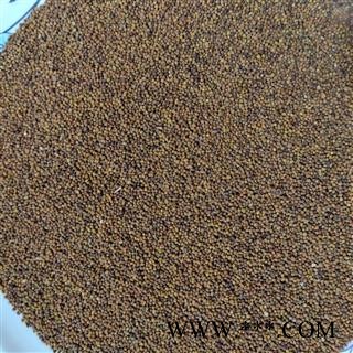 菟丝子 内蒙菟丝子水洗选货水洗无杂质含量足 产地 内蒙古自治区图2