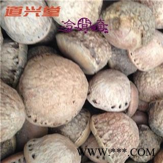 风流果 风流果 产地 广西壮族自治区  批发各种冷背中草药个子图3