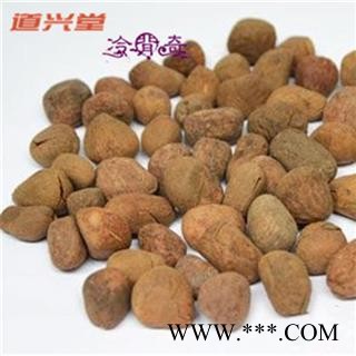 大风子 大风子统货 产地 广西壮族自治区  批发各种冷背中草药个子图3