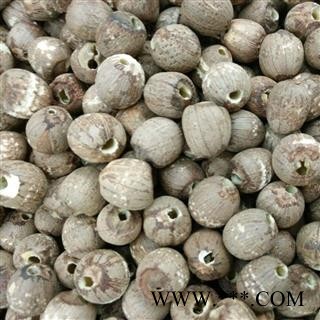 红莲子 不抽心统货 产地 山东省图2