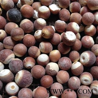 芡实 芡实1.0 精选大个 产地 广东省图2