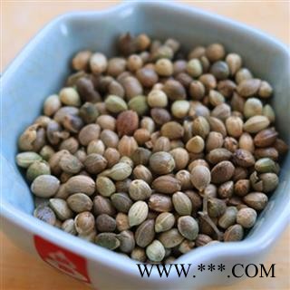 火麻仁 火麻仁大粒 产地 陕西省 国药堂 专注品质图2