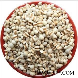 薏米 大薏苡仁98米 新货便宜促销 产地直销图2