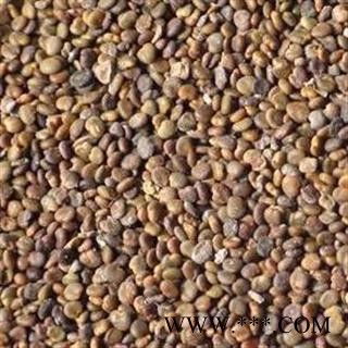 沙苑子 选货 沙苑子净货 产地直销 批发各种规格名贵药材，中草药，花茶，矿石，动物，冷背药材等图2