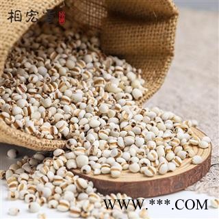 相宏堂经方扶阳道地中药材正宗薏仁贵州野生薏仁特级薏米优质薏仁大颗粒,产地直销,批发价格图3