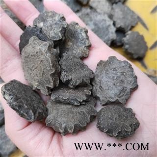 木鳖子 新到新货木鳖子货真价实 产地 广西壮族自治区图3